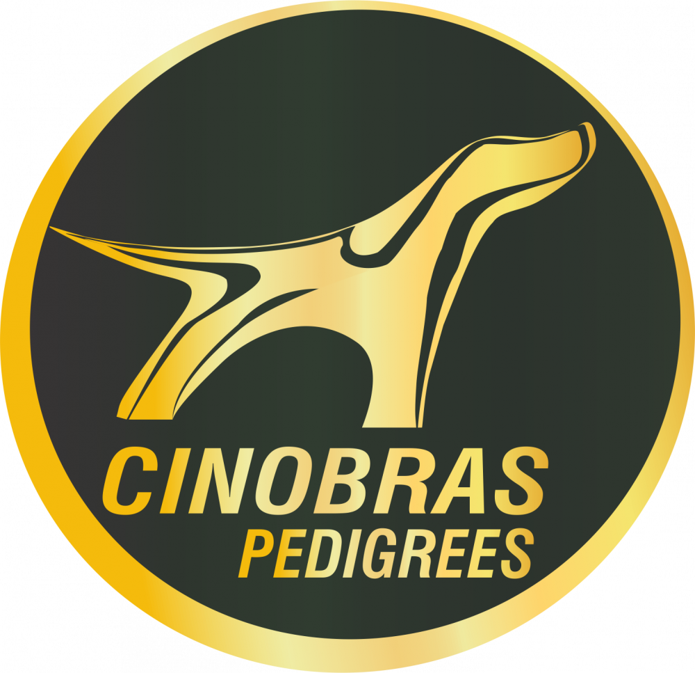 CinoBRAS
